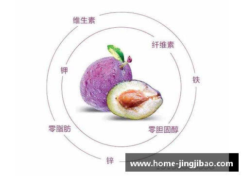 西梅之魅：探索古老果实的传奇与营养价值